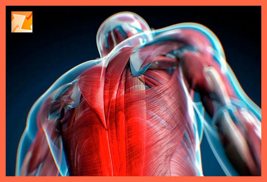 Χαρακτηριστικά δυσφορίας